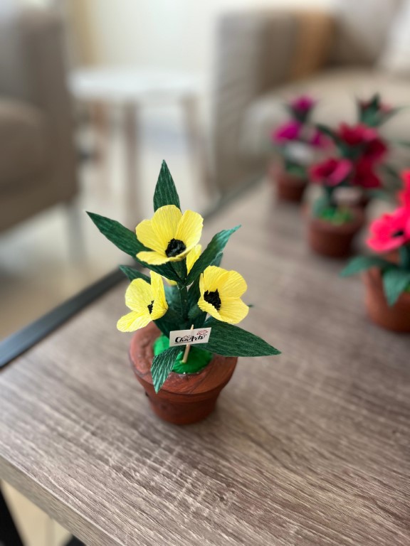 WhatsApp Image 2025 06 04 at 15.04.44 1 1