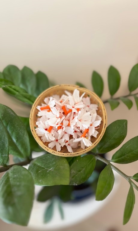 WhatsApp Image 2025 09 08 at 09.05.19 Copy