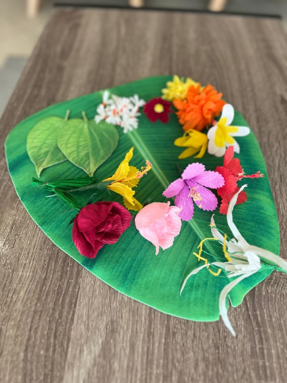 WhatsApp Image 2025 09 08 at 09.05.26 1