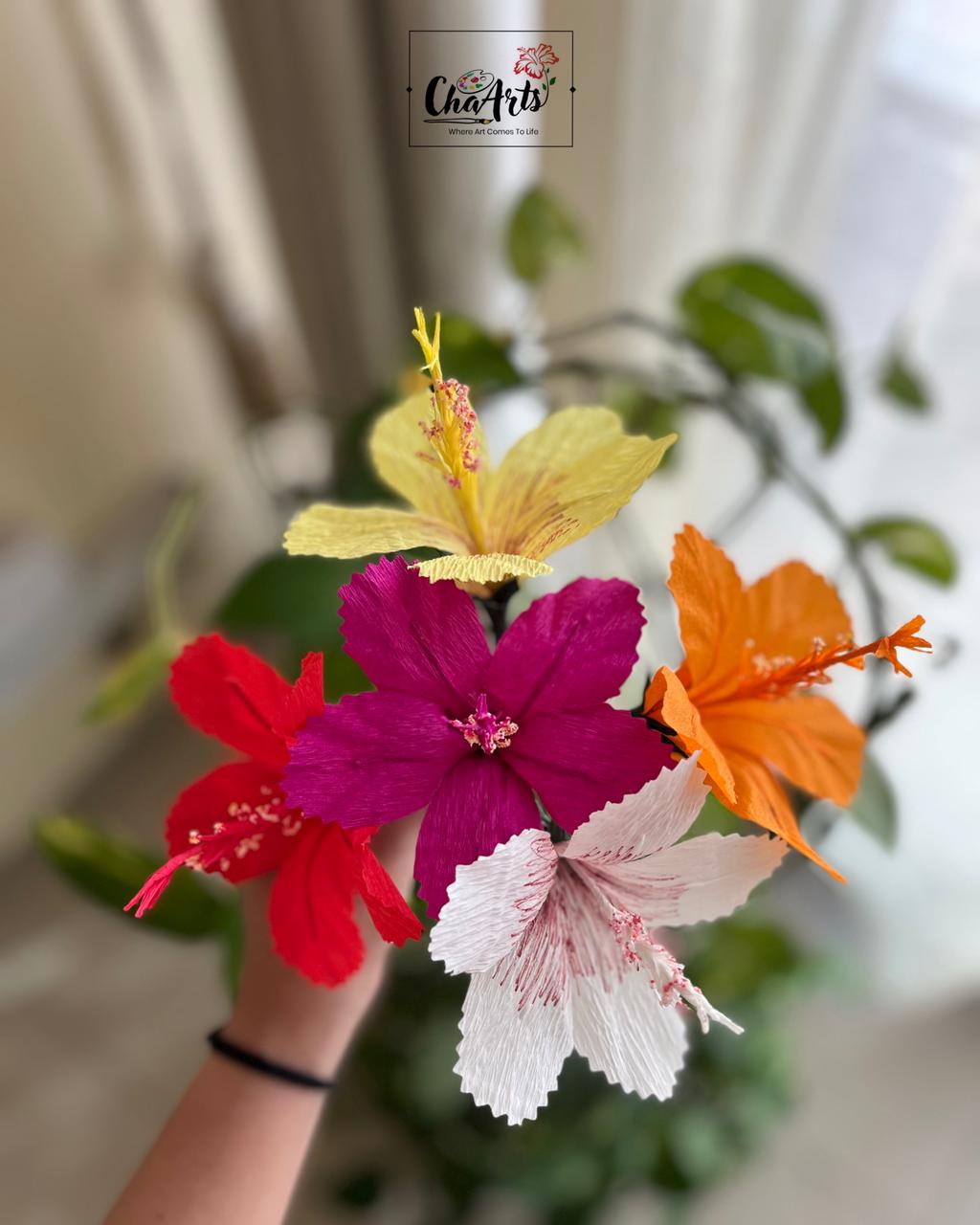 WhatsApp Image 2025 10 30 at 21.50.55