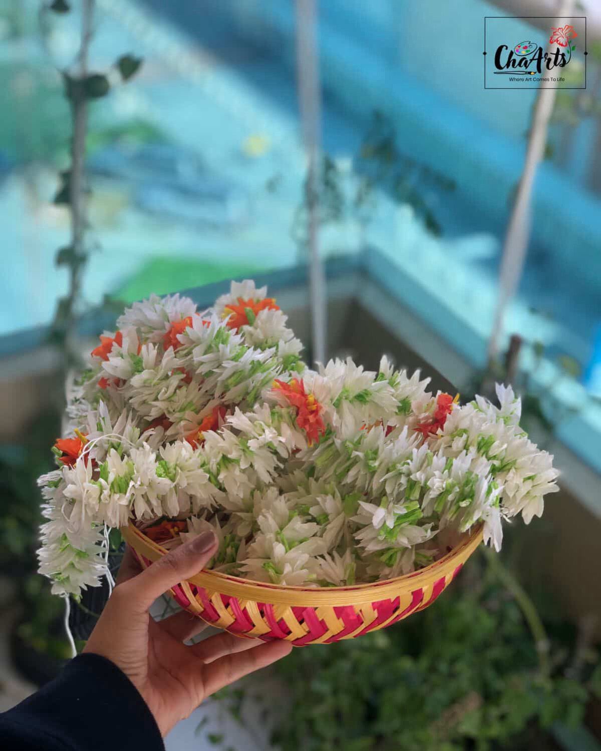 WhatsApp Image 2025 10 30 at 22.17.33 1