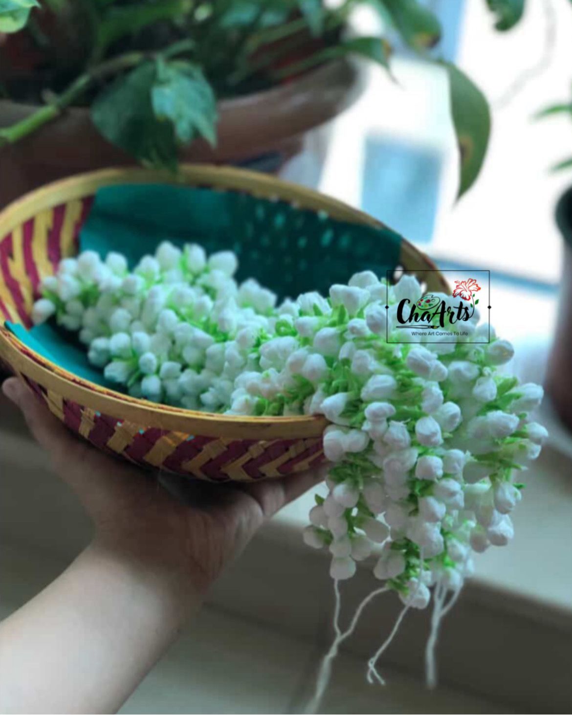 WhatsApp Image 2025 10 30 at 22.17.33